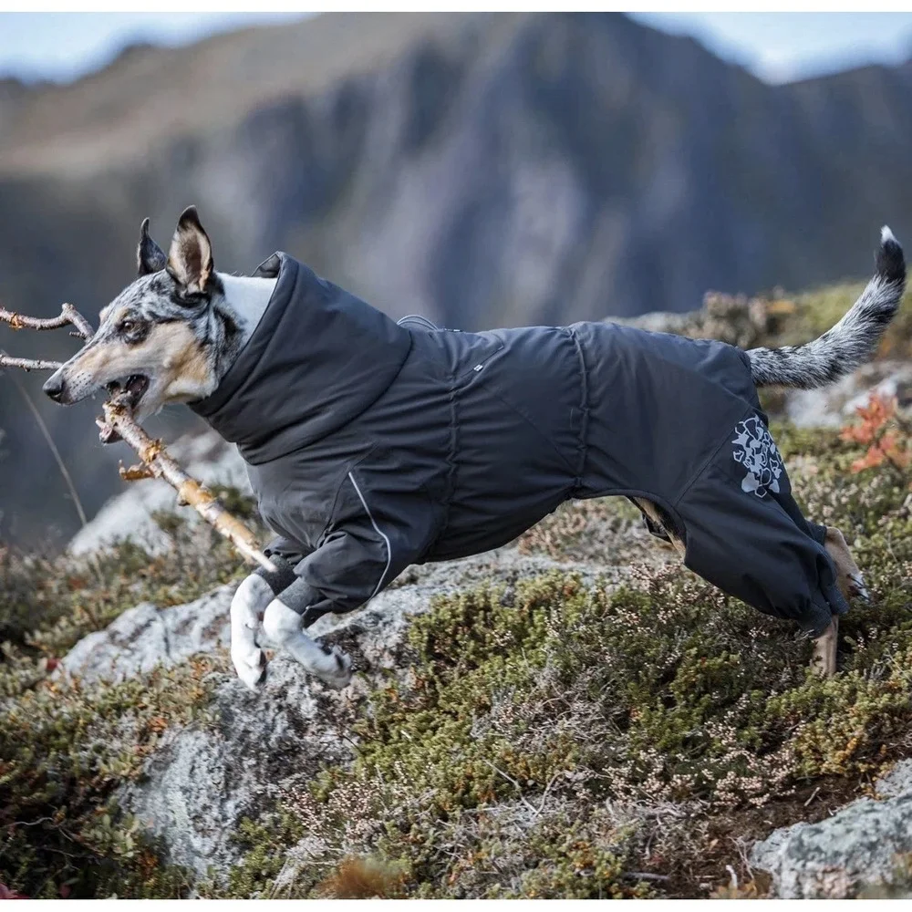 NEW Hurtta Extreme Overall Dog Snowsuit BlackBerry 14S